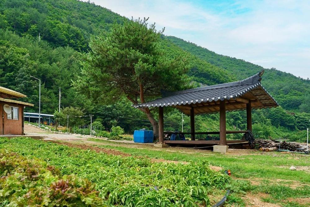 Yeongyang Daetigol Red Clay Room Yongyang Екстериор снимка