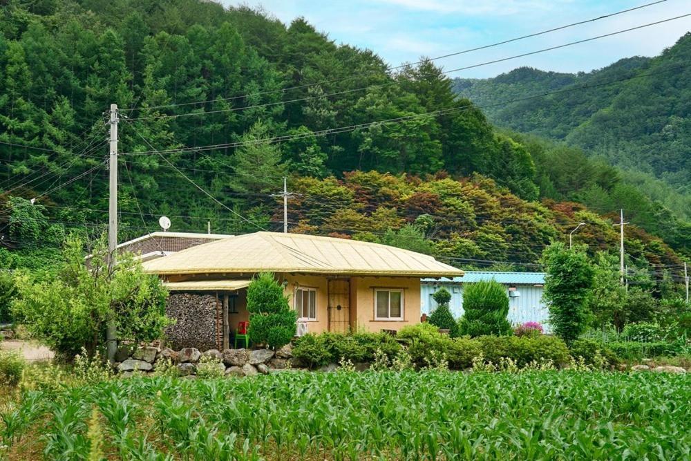 Yeongyang Daetigol Red Clay Room Yongyang Екстериор снимка