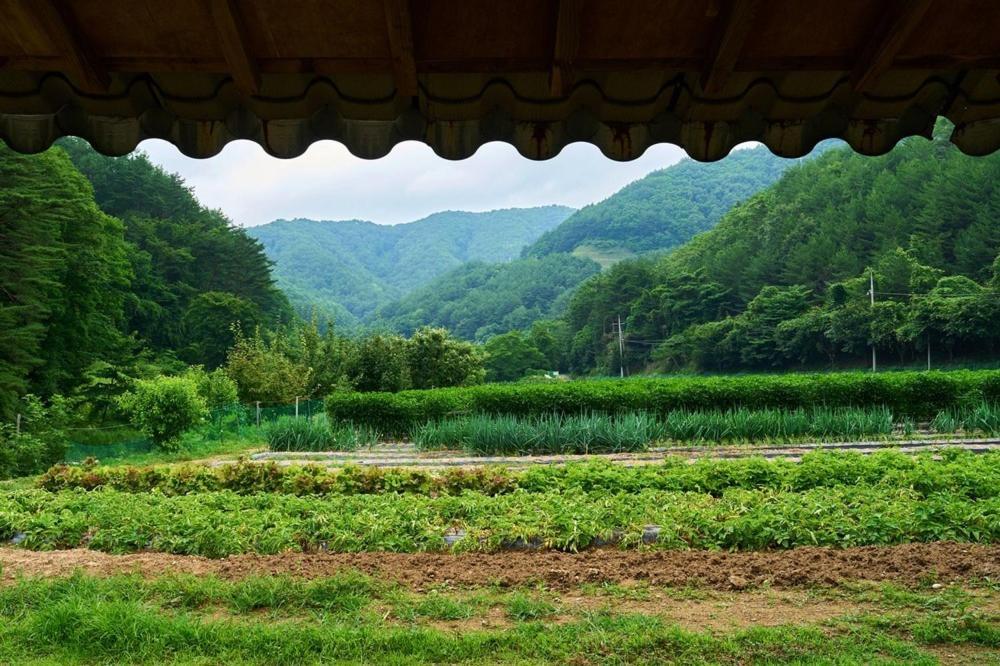 Yeongyang Daetigol Red Clay Room Yongyang Екстериор снимка